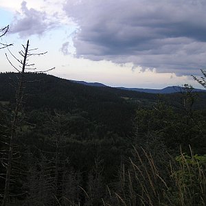 Badger na vrcholu Kunžvart (3.8.2014 16:53)