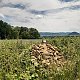 ZdenkaV na vrcholu Salaš (19.6.2023 13:45)