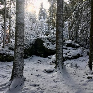 Kuba Ž. na vrcholu Obří hora (17.11.2023 12:49)