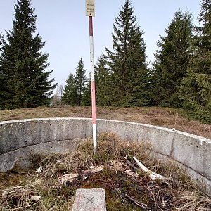 Nojby na vrcholu Ptačí hora (29.3.2022 9:03)