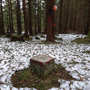 Nojby na vrcholu Vršina (29.3.2022 9:31)