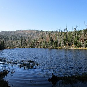 Michal Kříž na vrcholu Jezero Laka (26.10.2019 12:06)