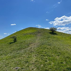 Betička na vrcholu Holý vrch (27.4.2024 13:20)