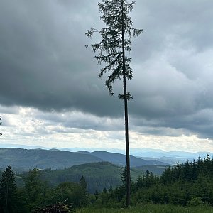 akam na vrcholu Kyčera (25.5.2024 10:59)