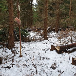 Petr Pepe Peloušek na vrcholu Malý Travný (8.12.2019 11:22)