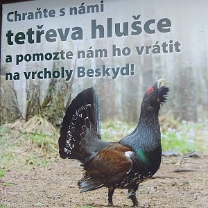 Roman Tigge na vrcholu Malý Travný (15.11.2019 11:40)