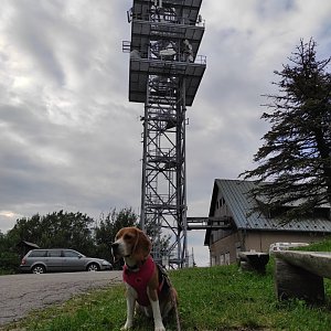 sewa na vrcholu Malý Javorový (1.8.2022 18:45)