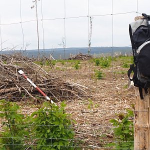 Jiřina na vrcholu Šárovec (30.5.2021 10:40)