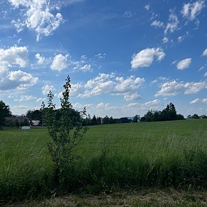 Mertelici na tripu na vrcholu Maralův kopec (8.6.2024 16:33)