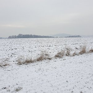 Petr Pepe Peloušek na vrcholu Řepník (27.12.2021 13:19)