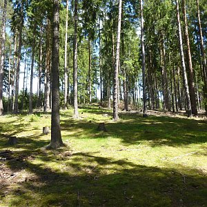 Nojby na vrcholu Kozí hřbet V2 (3.6.2021 14:28)