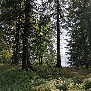 Šárka na vrcholu Nad Polanou Z2 (16.9.2022 13:56)