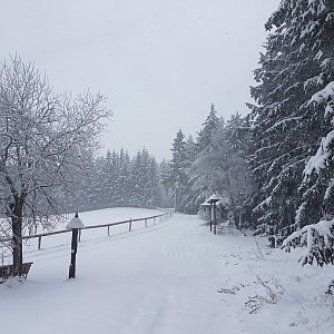 Marcela Kubíčková na vrcholu Benešky (V vrchol) (11.12.2022 10:25)