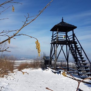 Hostýnsko-vsetínská hornatina