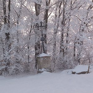 VěrkaN na vrcholu Na Středním (18.12.2022 8:46)