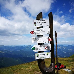 Pepino na vrcholu Veľká Chochuľa (6.7.2019 11:36)