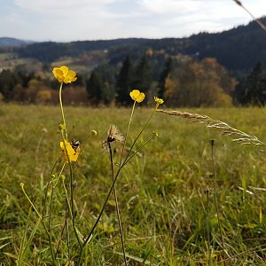 Marcela Kubíčková na vrcholu Nad Baraním (30.10.2022 12:10)