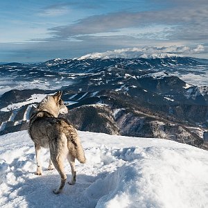 Martin na vrcholu Veľký Choč (17.12.2023 11:54)