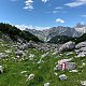 Alexandr Starý na vrcholu Beerwurzkogel (9.7.2020 13:15)