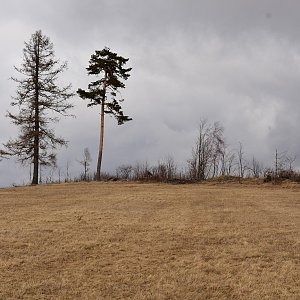 Bohumír Michal na vrcholu U Rozhledny (26.2.2022 14:06)